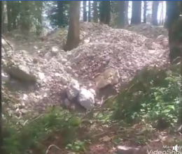 Monte Faito, in un video la discarica che soffoca i boschi