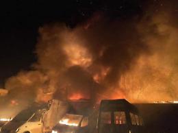 Guerra Ucraina, italiano a Mykolaiv: "Notte di bombe, cadaveri davanti casa"