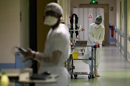 Vaiolo scimmie, in Francia vaccino a contatti a rischio