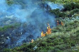 Incendi, paura a Palermo: 1.500 evacuati