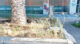 Viale Augusto terra di nessuno, tra atti vandalici e abbandono
