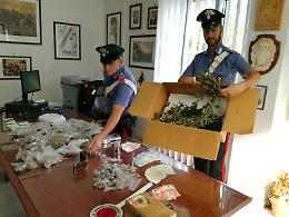 Droga fai da te con essiccatoio in garage, preso insospettabile a Piazzolla di Nola