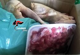 Sant'Antimo e Grumo Nevano, sequestrati carne <br>e pesce