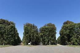 Bosco di Capodimonte, dal Comune ok a progetto sistemazione strade