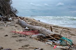 Inquinamento mare, Legambiente boccia la Campania