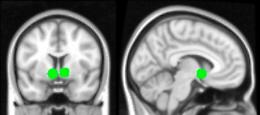 Il Covid riduce l'intelligenza: l'ultimo studio 