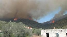 Incendi Sardegna, proseguono i soccorsi: canadair in volo
