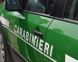 Incendiava imballaggi al mercato, nei guai un commerciante