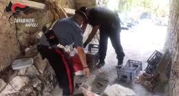 Gragnano, droga e armi in un rudere abbandonato