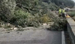 Maltempo, alberi sulla strada: chiusa la statale “Amalfitana"