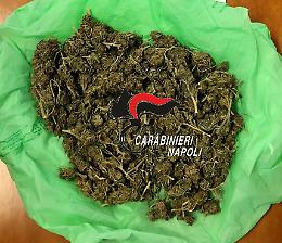 Droga abbandonata in un terreno, indagini in corso