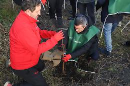 Centoventi nuovi alberi nel Parco Nazionale del Vesuvio