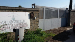Traffico di cuccioli di razza, maxi-sequestro di beni