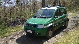 Sversamento illegale di liquami, area sequestrata