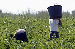Caporalato, quattro misure cautelari nel Casertano
