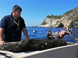 Cozza plastic free, al via le prove in Campania
