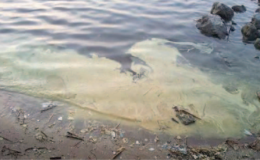 “Mare Monstrum”, Campania ancora una volta maglia nera