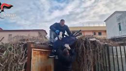 Arsenale da guerra scovato sui tetti delle palazzine popolari a Castellammare 