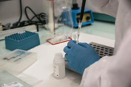 Coronavirus, uno “scudo genetico" potrebbe aver protetto il Sud Italia