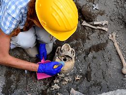 Pompei, scavi Regio V: emerge il cranio del fuggiasco