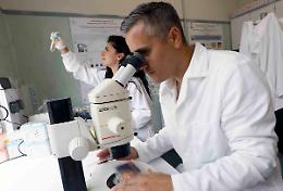 Apre a Napoli il dipartimento di biotecnologie marine ecosostenibili