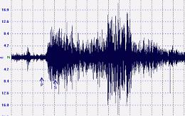 Violenta scossa di terremoto in Indonesia
