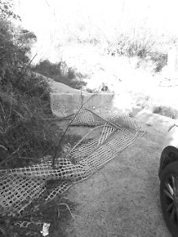 «Prigionieri in casa, il Comune che fa?»