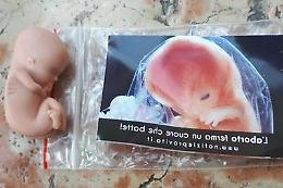 Congresso famiglie, spunta feto di plastica
