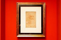 Scoperta ciocca di capelli di Leonardo