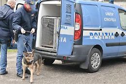 Ossa umane a Porto Recanati, sono di una ragazzina scomparsa nel 2010