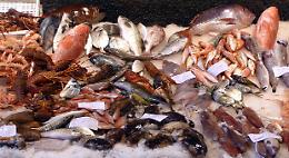 Controlli alla Sanit&agrave;, pescherie nel mirino: multe e sequestri