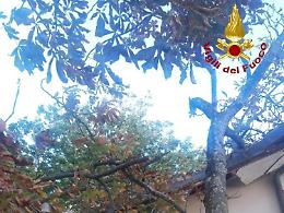 Maltempo in Italia: due feriti a Roma, danni in Salento per grandine