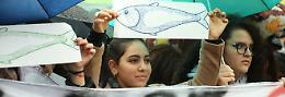 Un sabato con le sardine