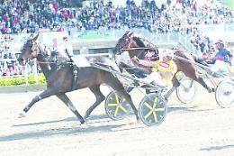 Gran premio Lotteria Trofeo Graded, domani si parte