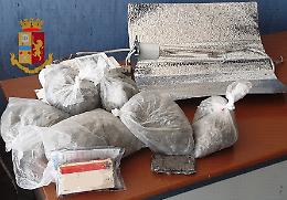 "Bronx", sequestrate piante di marijuana
