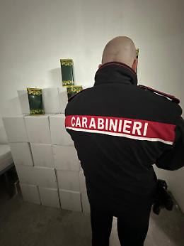 Caivano, 900 litri di olio d'oliva contraffatto nel furgone: denunciata