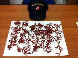 Torre del Greco, preso con 600 grammi di corallo pescato illegalmente