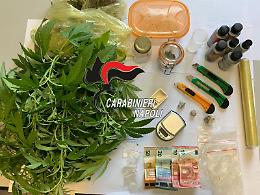 Pianta di cannabis in casa, arrestato 29enne incensurato