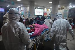 Cina, scoperto nuovo virus «con potenziale pandemico»