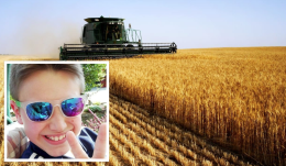 Addio Samuele, morto a 10 anni soffocato dal grano