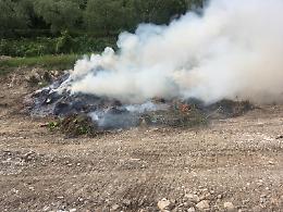 Sorpreso a bruciare sterpaglie a Monte di Procida, arrestato
