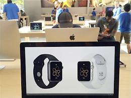 Apple si arrende al Fisco, pagherà 318 milioni all'Italia