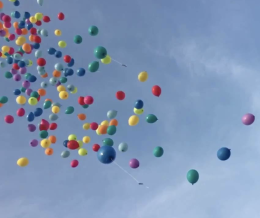 Capodanno, Comune di Napoli accoglie Sos ambientalisti: no a botti e palloncini