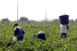 Dal 3 giugno frontiere aperte a 150mila braccianti stranieri