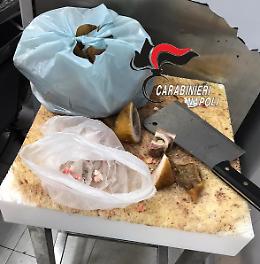 Vasto, maxi sequestro di alimenti scaduti