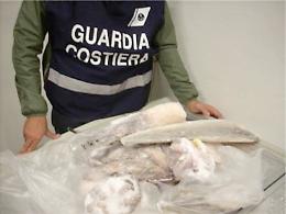 Torre del Greco, sequestrata mezza tonnellata di mitili nocivi