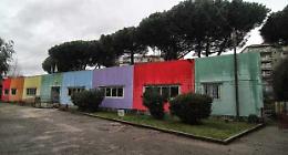 Ancora chiusa la scuola di Pianura per il pericolo pini