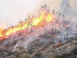 Torre del Greco, rischio incendi: ordinanza di bonifica