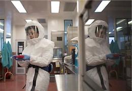 Ebola, causa epidemia in Africa bebè contagiato da pipistrello