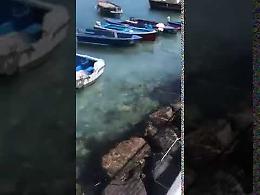 Mare bianco a Riva Fiorita, allarme sversamenti a Posillipo